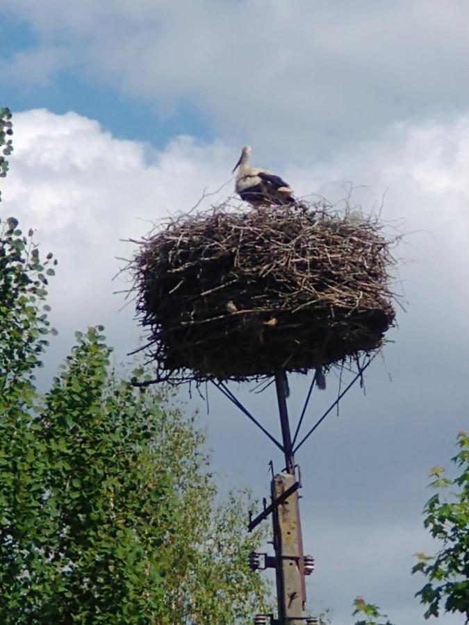Caloroczne Leniuchowo Ponizie Exteriör bild